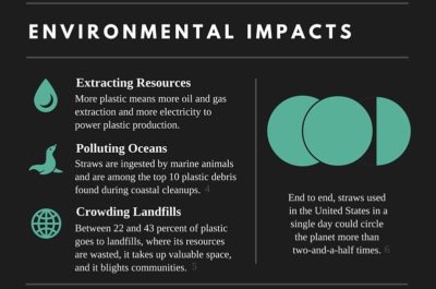 Environmental impact of plastic straws